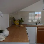 Zelic Apartment